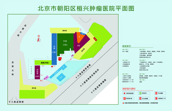 鸡巴插进来好爽好多水视频北京市朝阳区桓兴肿瘤医院平面图